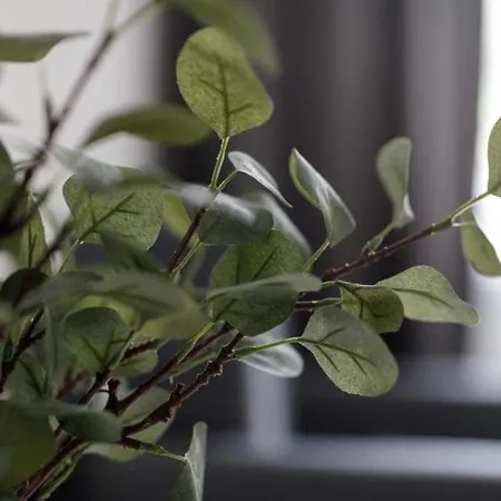 Golden - One Bedroom - Rynek Square&widok * ヴロツワフ