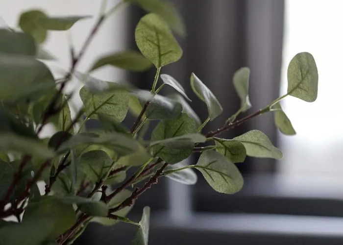 Close-golden - One Bedroom - Rynek Square&widok * Wrocław